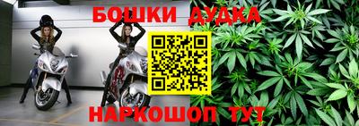 молекула духа Сланцы