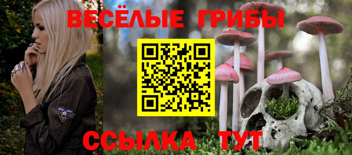 Галлюциногенные грибы Cubensis  Вход с VPN  Прохладный 