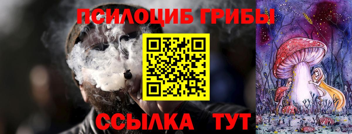 Псилоцибиновые грибы мицелий Прохладный