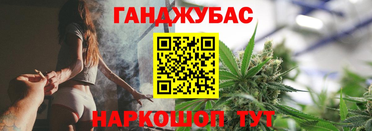 Марихуана сатива Прохладный